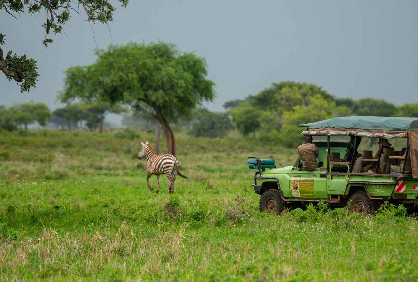 Lake Mburo National Park Expedition Tour