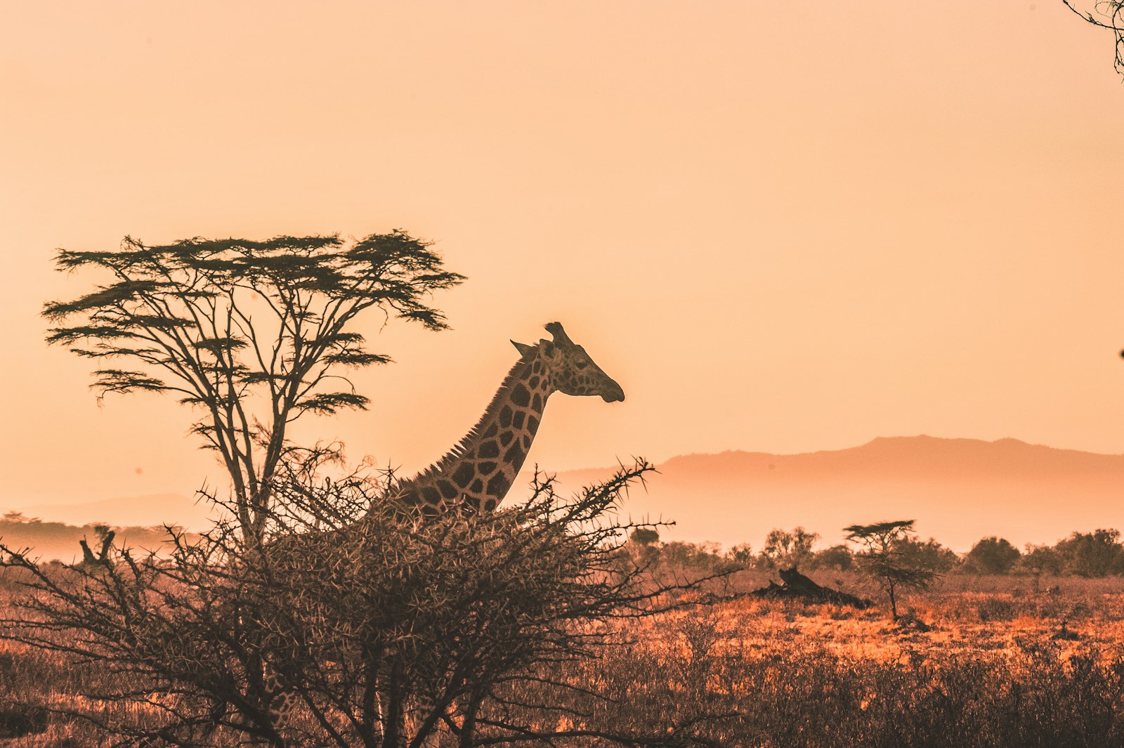 Uganda Wildlife Education Centre